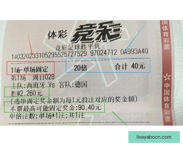 亚博体育世界杯投注攻略全解析助你精准下注赢取奖金