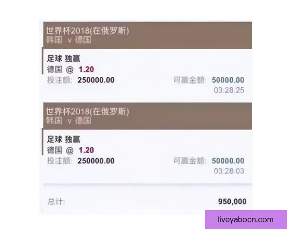 世界杯买球赔率分析与预测让你轻松把握赛事机会全面揭秘各大博彩公司最新赔率走势